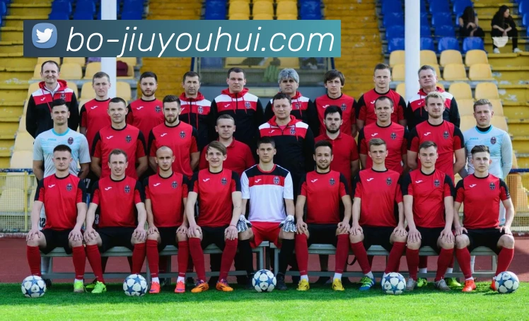 九游会J9官网发展历程